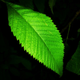 Image for article titled 23 Dark, Dark Photographs